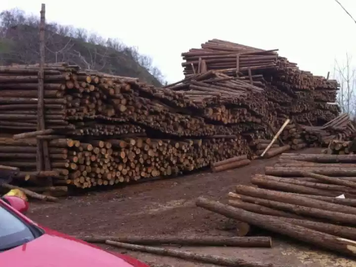 Industrie du bois