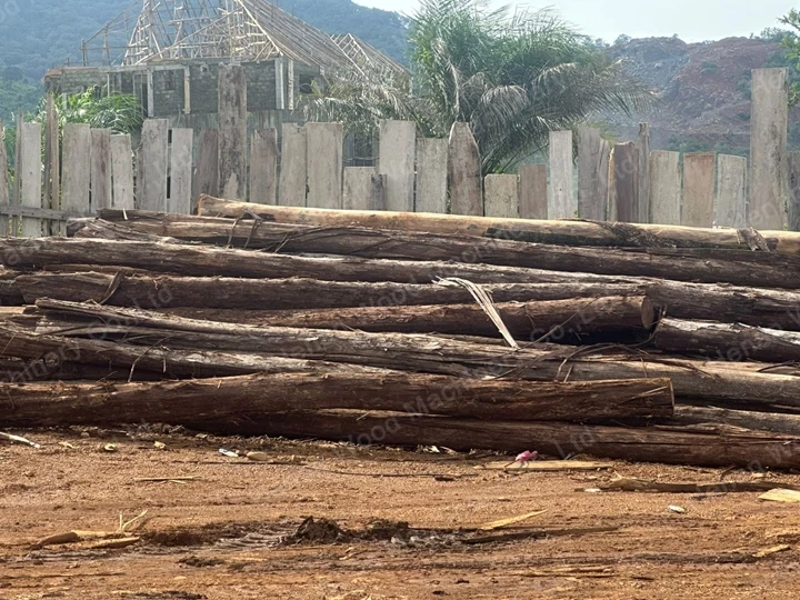 Logs na fábrica de Serra Leoa para descascar